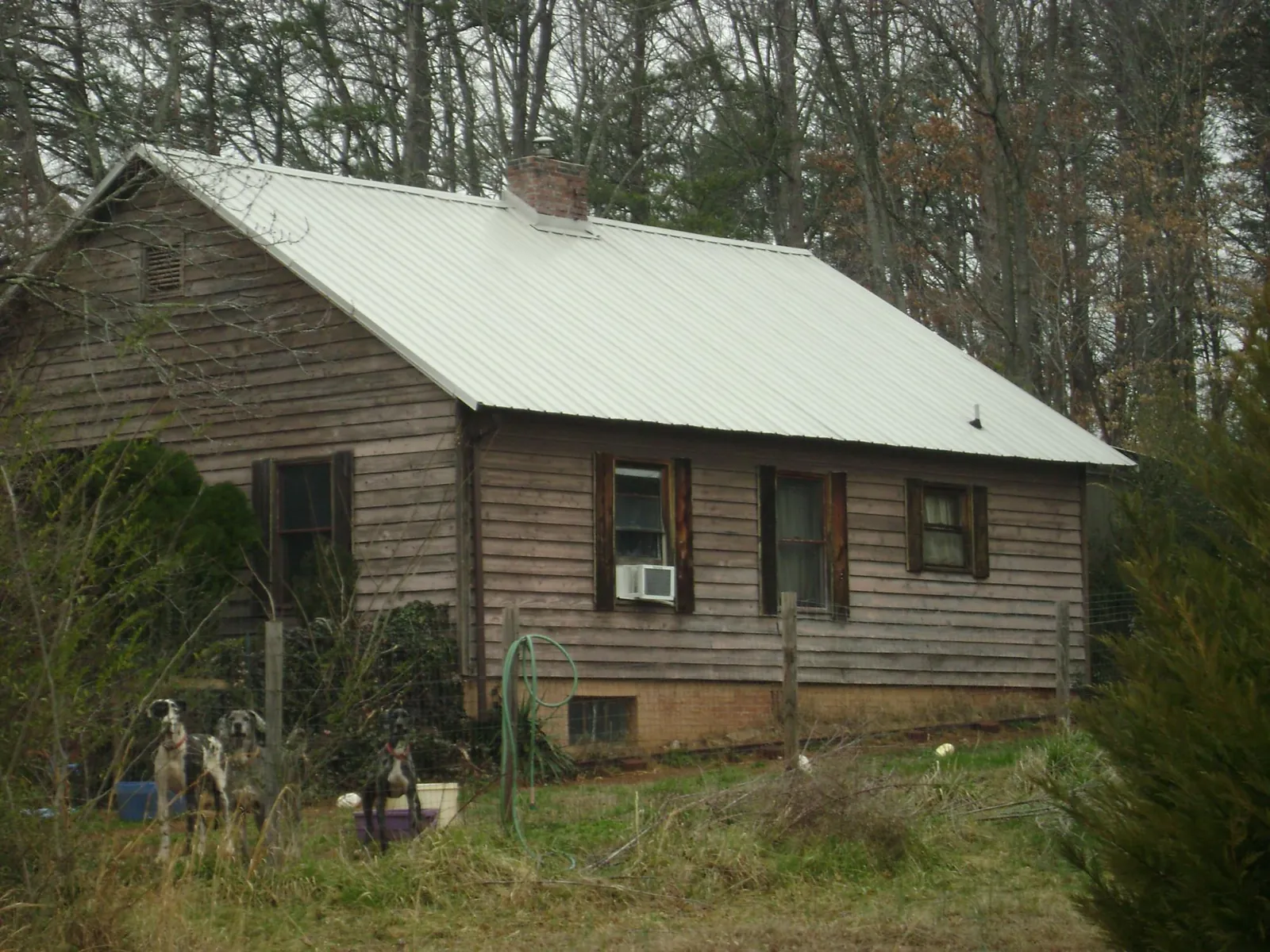 White metal roof on an old wood sided farmhouse, from a Asphalt Shingle Roof Repair job in Maryville